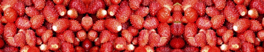 skinali 0535